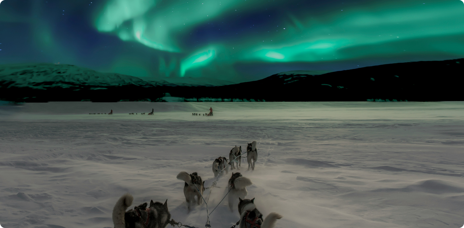 Polarlichter im Norden erleben - Lagoon Travel